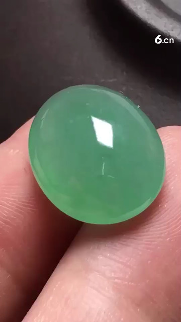 阳绿福豆，种老起