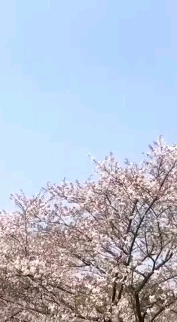 ……