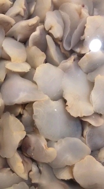 猜猜这是啥呢😄😏