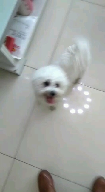 啦啦啦