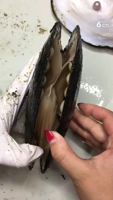 满满的牙齿可怕