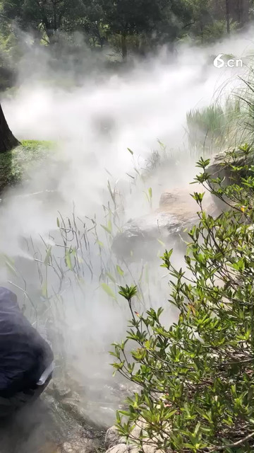 我们在上海滨江公园玩