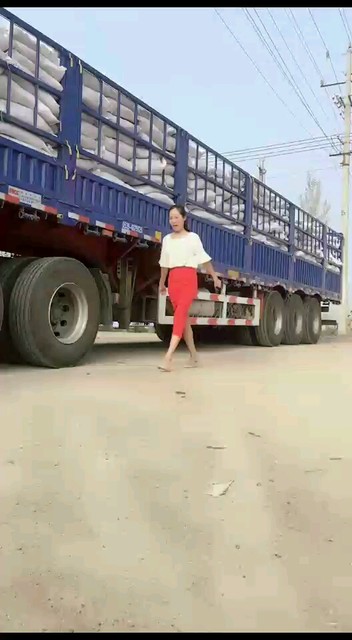 新手不行啊