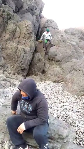 赶海