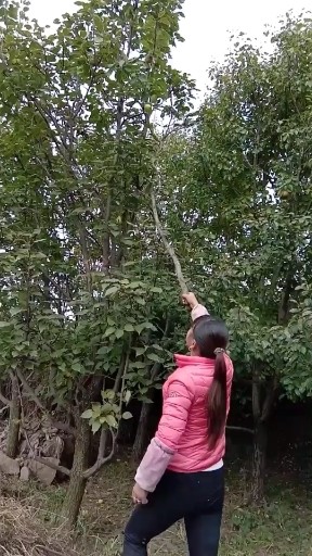 姑娘想嫁人