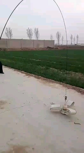 猛禽大物竿测试中