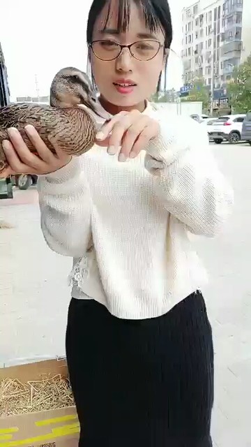 鸭鸭终于好完了😂