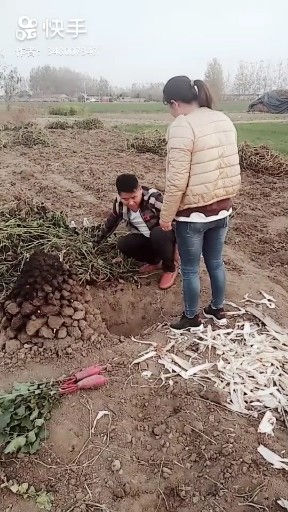 烧地瓜