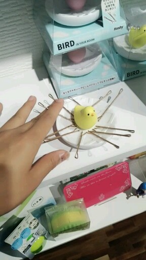 小鸟🐦置物盒发卡小物好去处