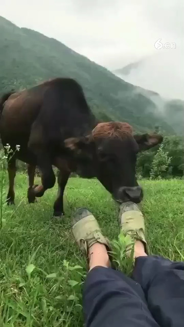 看看大山