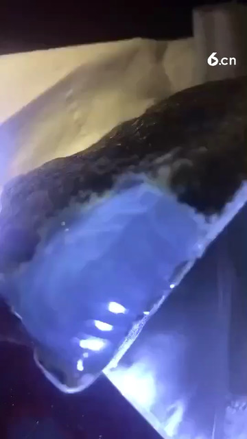关注