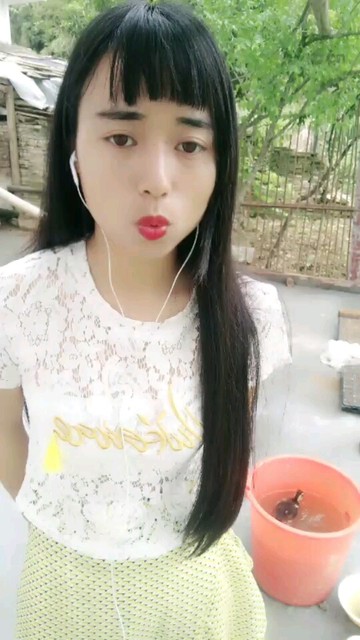 西海情歌