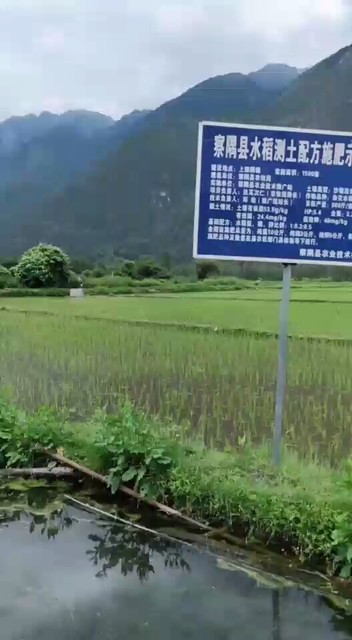 田园