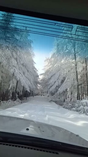 雪景