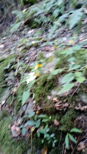 太白山7