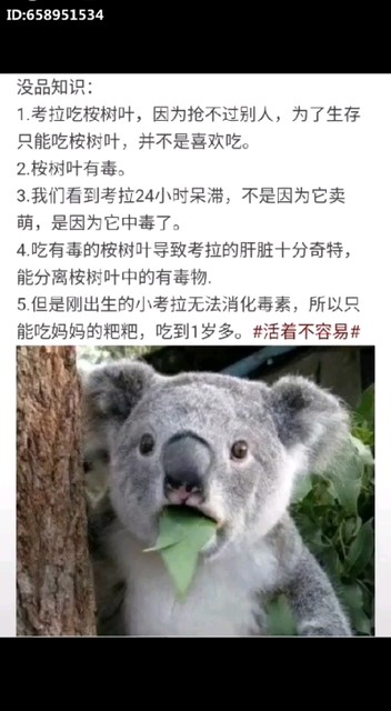 且活且珍惜，，，