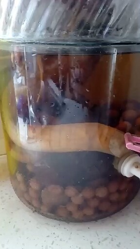 我泡的西洋参