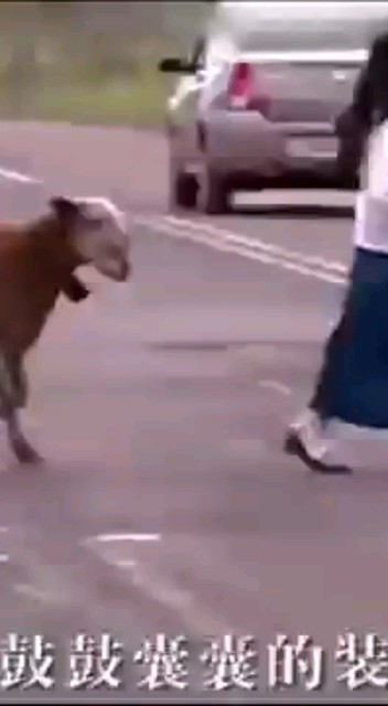 大家好