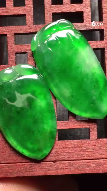 11000阳绿福瓜