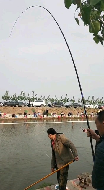 竿子没毛病、标鱼上来了