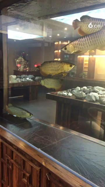 给个双击加关注