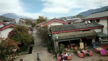 树和古镇