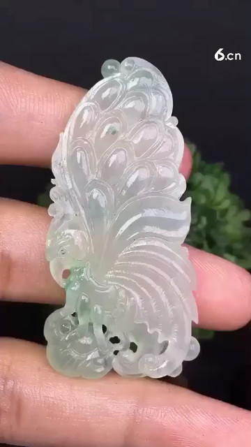 蝴蝶🦋飞飞