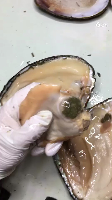 通过肉看见紫色珠子