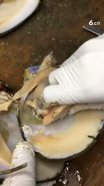 此肉好吃而且有紫珠