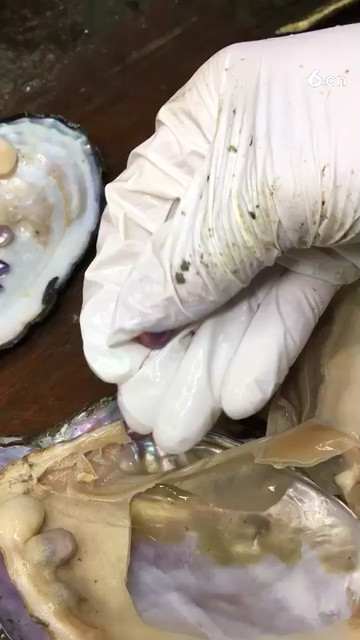 牛逼old