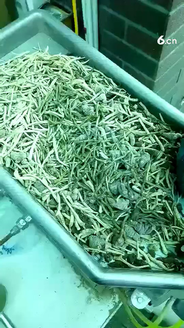 降三高通血脉清理血管垃圾！关注