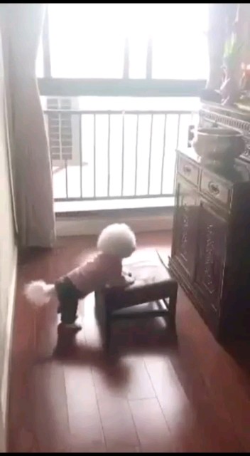 超可爱的