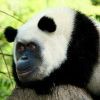 刀乐儿思海报