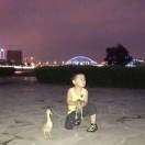 心如止水的头像