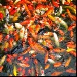 下地龙海报