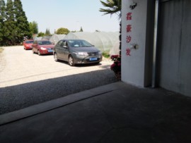 沙发达人主播照片