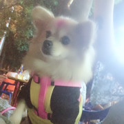 開心????的頭像