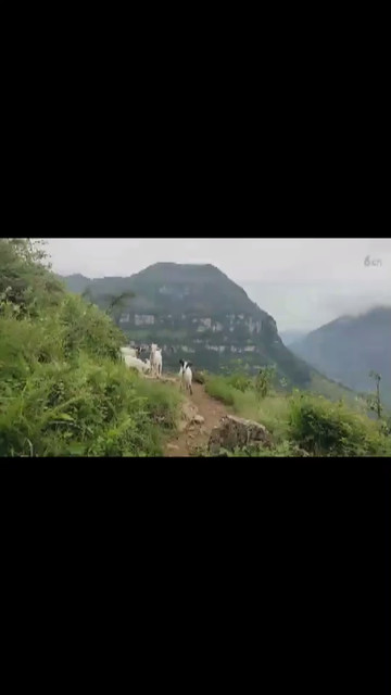 第二个悬崖村
