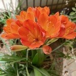 沙💗漠海报