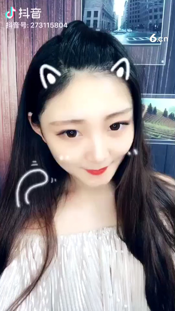 你们喜欢的喵喵喵～～🐱🐱