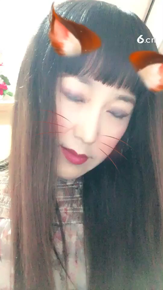 我是一只小花猫