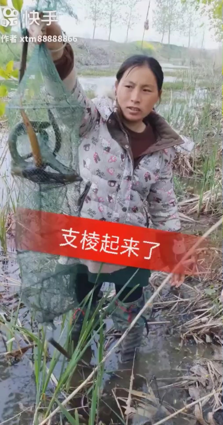 又棱起来了