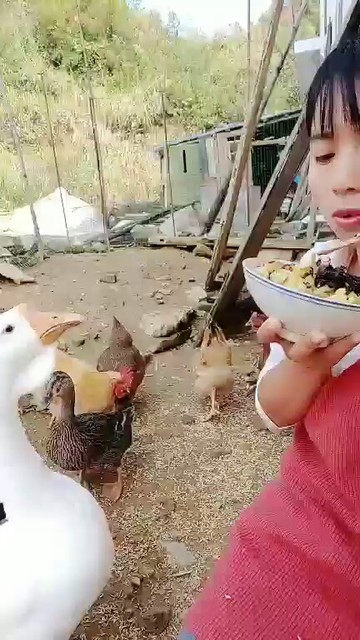 嘎嘎抢吃的😃