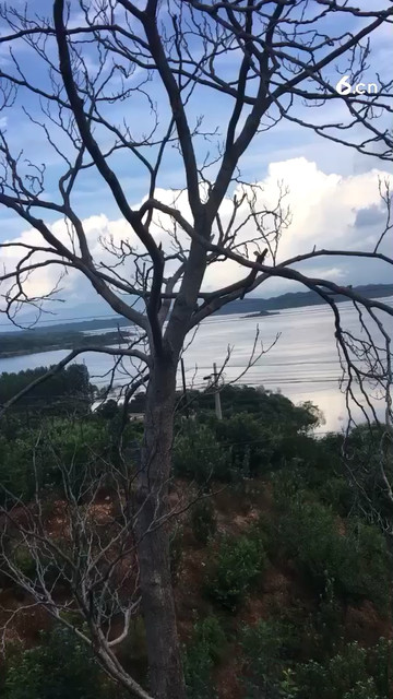 标题违规