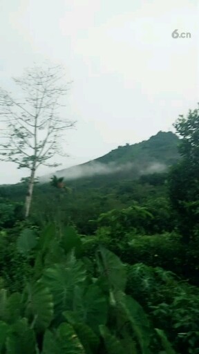 雨后大山里