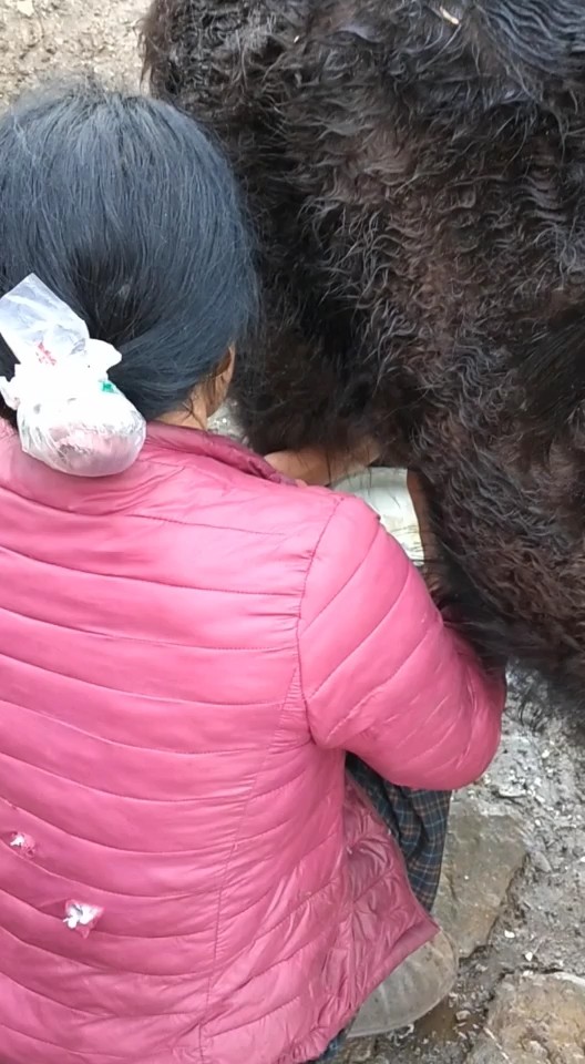 无信号第八季牛奶和住宿什么样