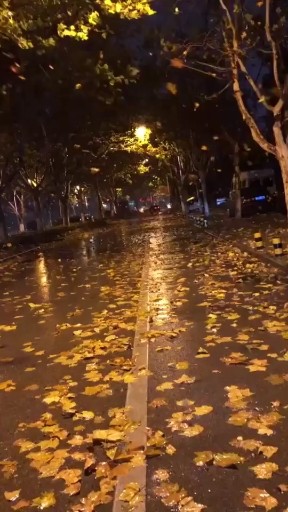 落雨的冬