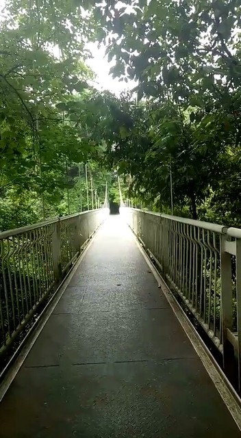 情人桥上约会了
