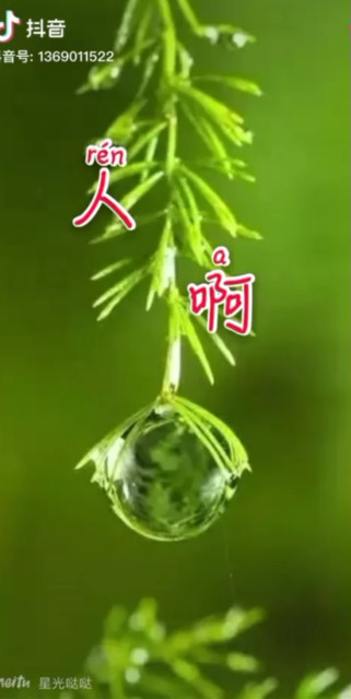 人啊一生好短暂有看懂的吗.心好