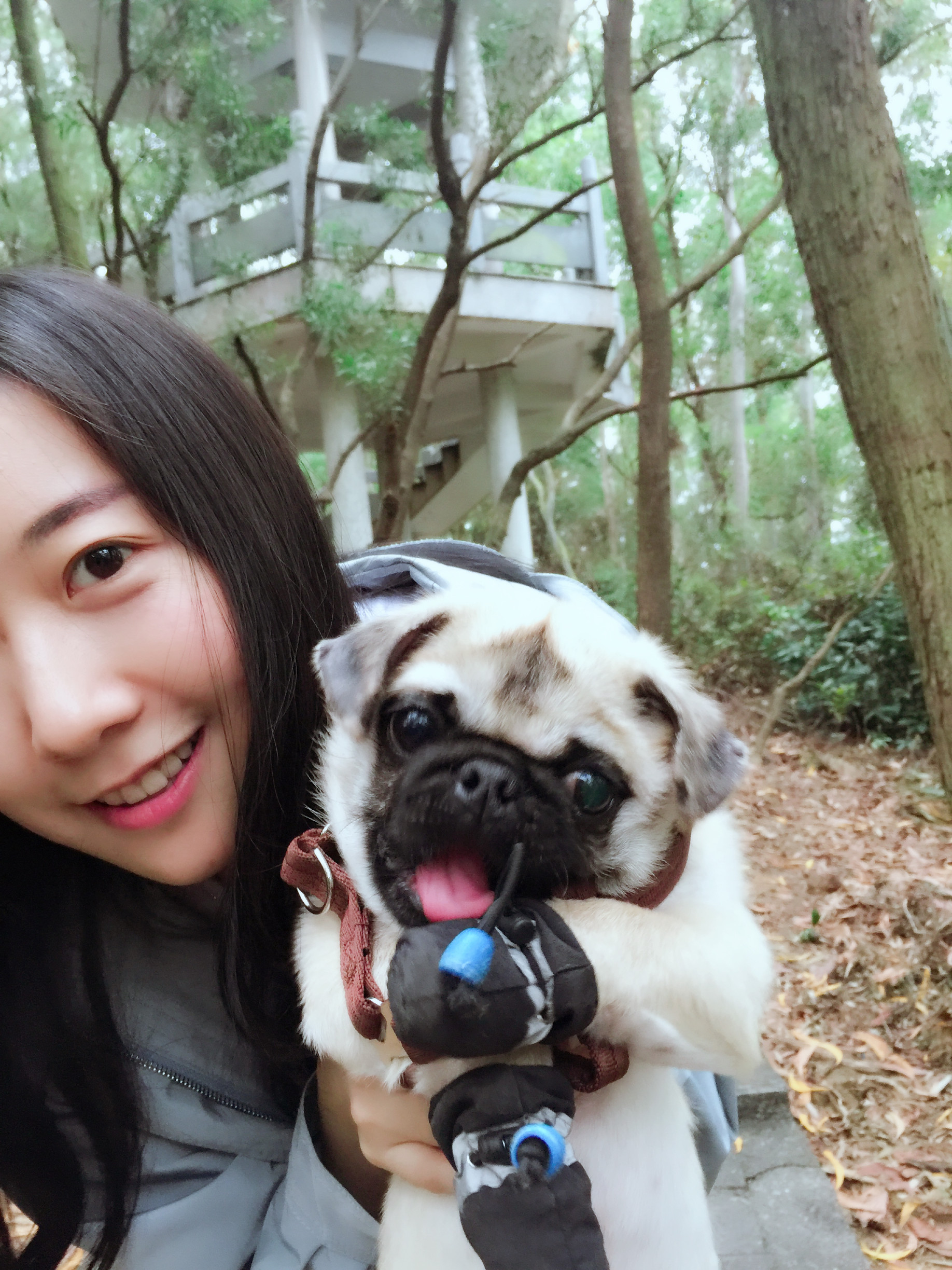 新人第9天、杨耍耍的主播照片